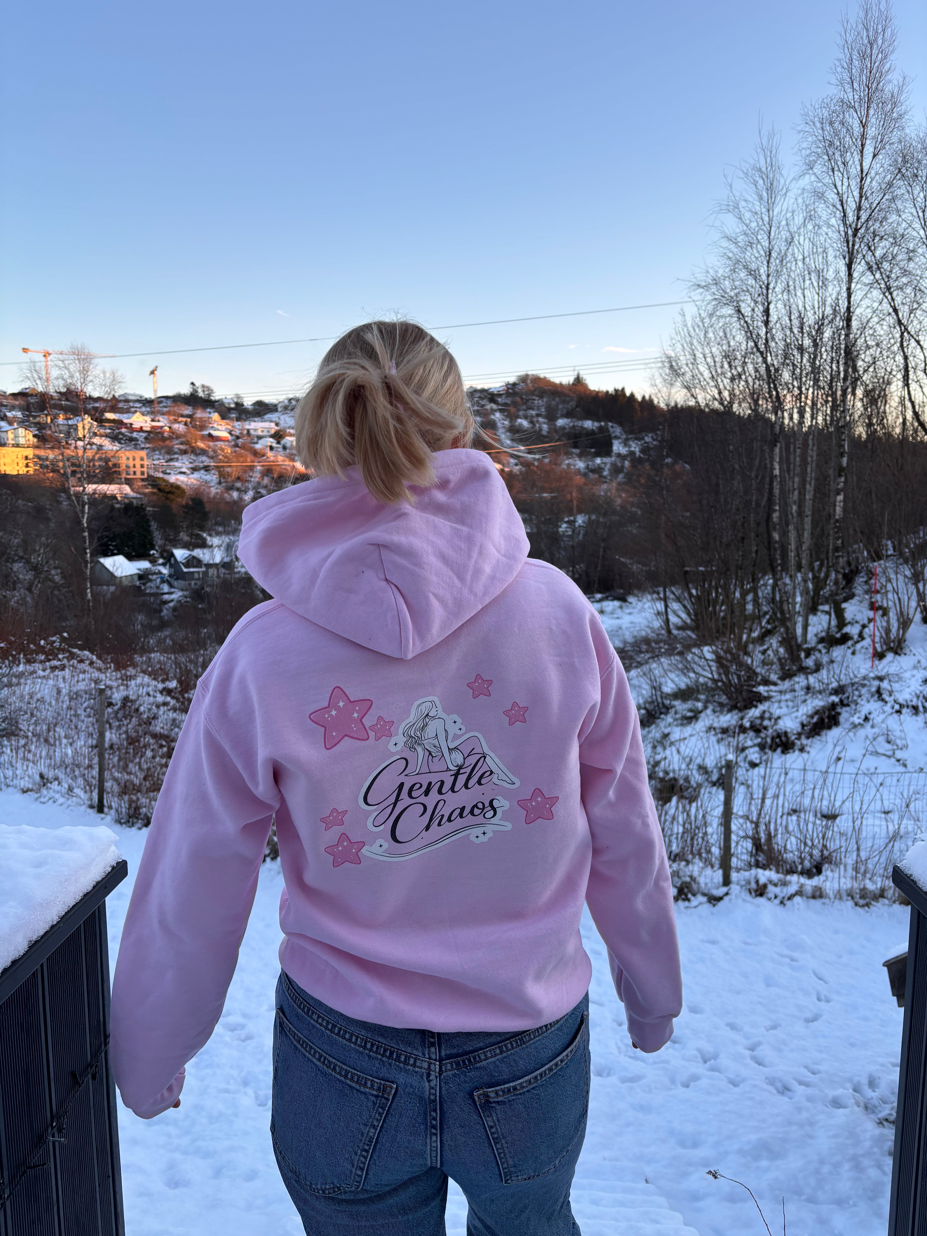 Gentle Chaos Hoodie — Rosa