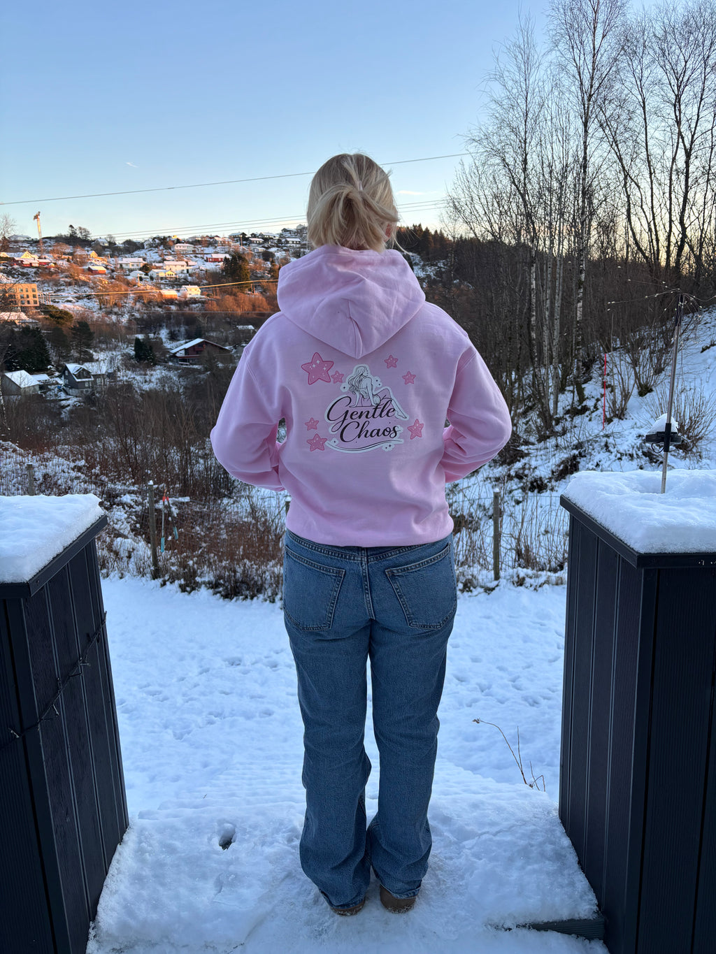 Gentle Chaos Hoodie — Rosa